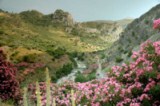 Raganello Canyon Calabria Regione South Italy
