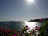 Camerota Campania South Italy